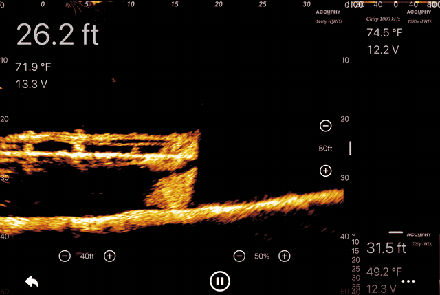 Accuphy Configurable Display Views